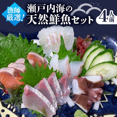 【1日1件限定】漁師厳選 瀬戸内海の天然鮮魚セット(約4人前) お刺身、切り身、アラ等　真空パック