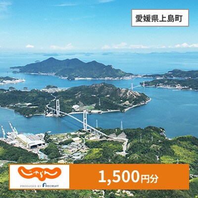 【じゃらんふるさと納税クーポン】 愛媛県上島町でつかえる1,500円 クーポン