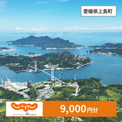 【じゃらんふるさと納税クーポン】 愛媛県上島町でつかえる9,000円 クーポン