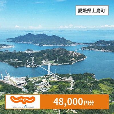 【じゃらんふるさと納税クーポン】 愛媛県上島町でつかえる48,000円 クーポン
