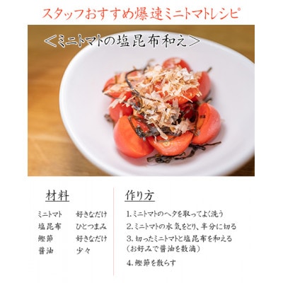 全国最大級の生産地の「ミニトマト3kg」