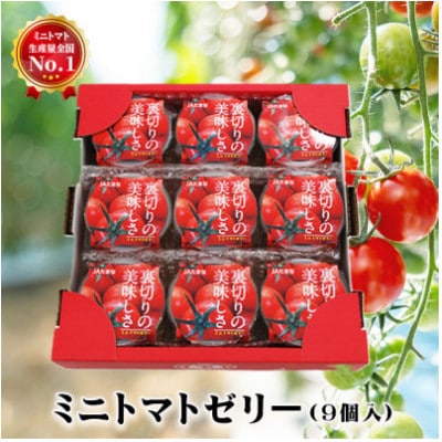 ミニトマト生産量日本一の熊本県産ミニトマトを使ったミニトマトゼリー9個ギフト箱入