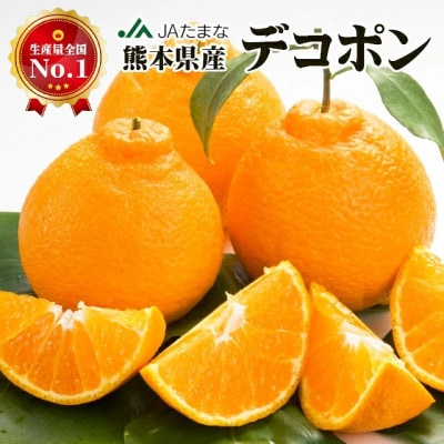 【先行受付】光センサー使用! 熊本県産デコポン 約5kg