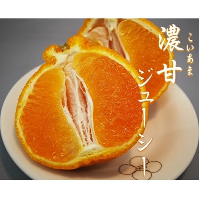 【先行受付】光センサー使用! 熊本県産デコポン 約5kg