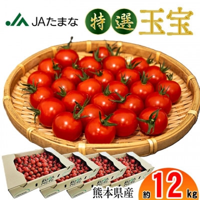 【先行受付】特選 ミニトマト「玉宝」 約12kg(約3kg×4)