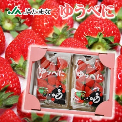 【先行受付】熊本県産イチゴ ゆうべに 1箱(250g入り×2パック)