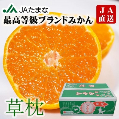 【先行受付】プレミアム温州みかん 草枕 約4kg