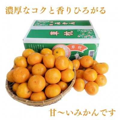 【先行受付】プレミアム温州みかん 草枕 約4kg