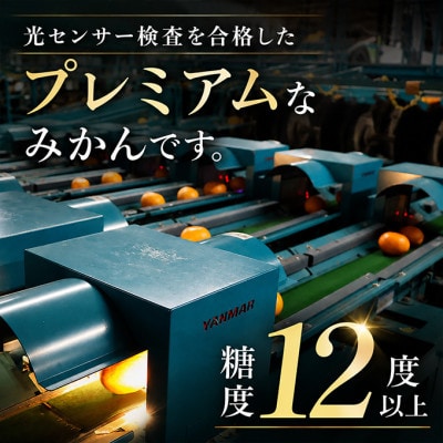 【先行受付】プレミアム温州みかん 草枕 約4kg