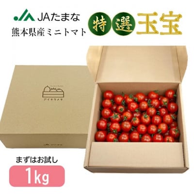 【先行受付】特選ミニトマト「玉宝」　お試し1kg