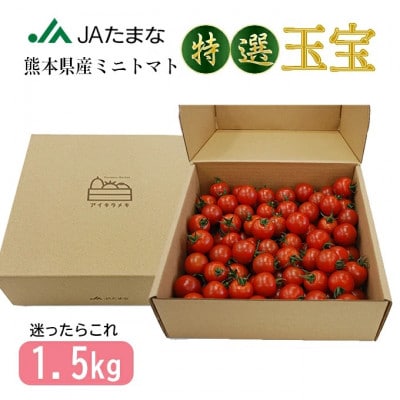 【先行受付】特選ミニトマト「玉宝」　お試し1.5kg
