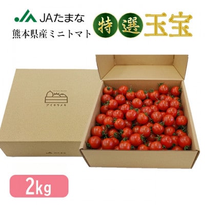【先行受付】特選ミニトマト「玉宝」　お試し2kg