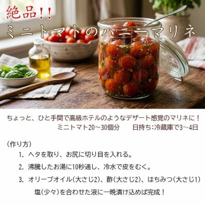 【先行受付】特選ミニトマト「玉宝」　お試し2kg
