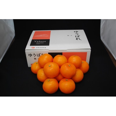 【先行受付】ゆうばれ 約3kg (熊本EC12)