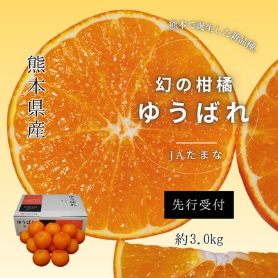 【先行受付】ゆうばれ 約3kg (熊本EC12)