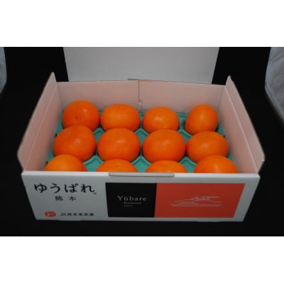 【先行受付】ゆうばれ 約3kg (熊本EC12)