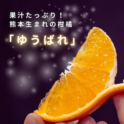 【先行受付】ゆうばれ 約3kg (熊本EC12)