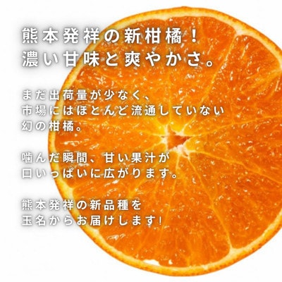 【先行受付】ゆうばれ 約3kg (熊本EC12)