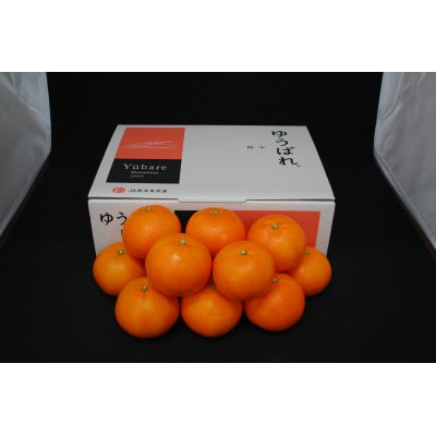 【先行受付】ゆうばれ 約3kg (熊本EC12)
