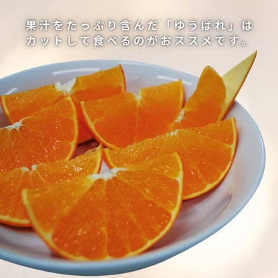 【先行受付】ゆうばれ 約3kg (熊本EC12)