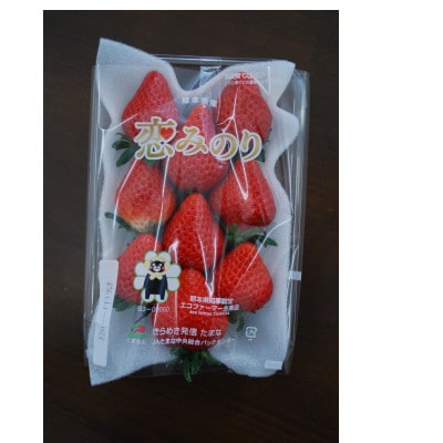 【先行受付】熊本県産イチゴ  恋みのり 1箱(250g入り×2パック)