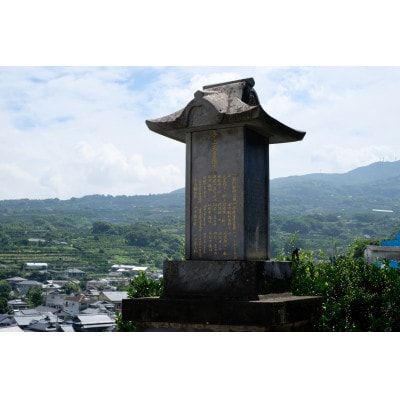 熊本県玉名市産 せとか3kg