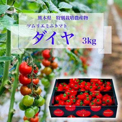 塩トマトのようなフルーツトマト「ソムリエミニトマト ダイヤ3kg」約150～250玉