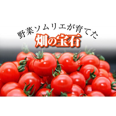 塩トマトのようなミニトマト「ソムリエミニトマト ダイヤ3kg」