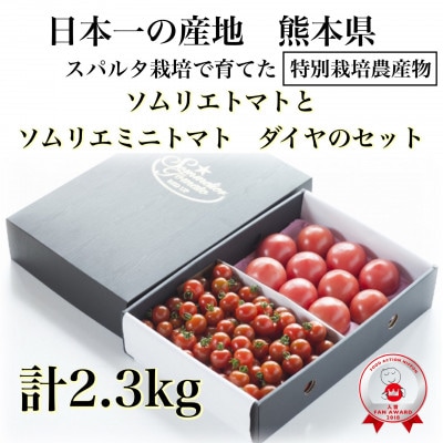 【特別栽培農産物】「ソムリエトマト1.3kgとソムリエミニトマト　ダイヤ1kgのセット」