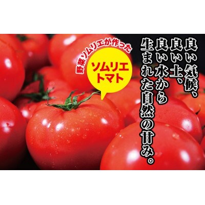 ソムリエトマト1.3kgとソムリエミニトマト　プラチナ1kgのセット