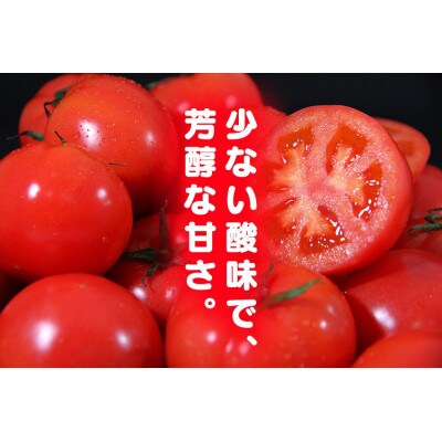 ソムリエトマト1.3kgとソムリエミニトマト　プラチナ1kgのセット