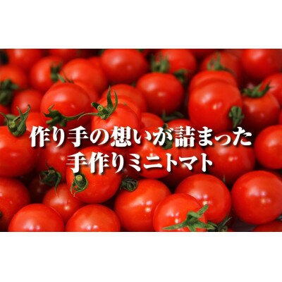 ソムリエトマト1.3kgとソムリエミニトマト　プラチナ1kgのセット
