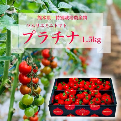 高濃度フルーツトマト「ソムリエミニトマト　プラチナ1.5kg」約75～100玉
