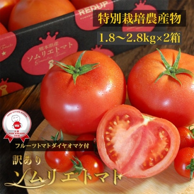 【特別栽培農産物】受賞歴3回!訳ありソムリエトマト1.8～2.8kg(8玉～16玉)×2箱