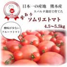 受賞歴3回!訳ありソムリエトマト4.5～5.5kg(18玉～36玉)×2箱