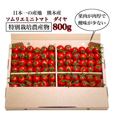 【特別栽培農産物】「ソムリエミニトマト　ダイヤ」800g
