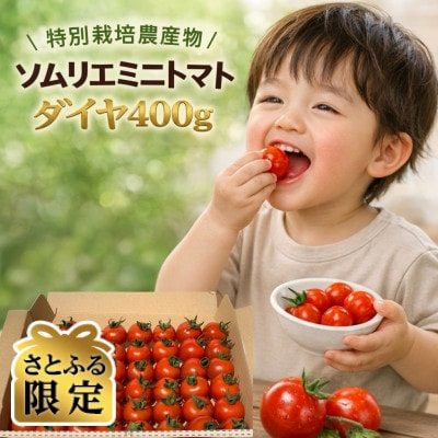 【さとふる限定】【特別栽培農産物】「ソムリエミニトマト ダイヤ」400g
