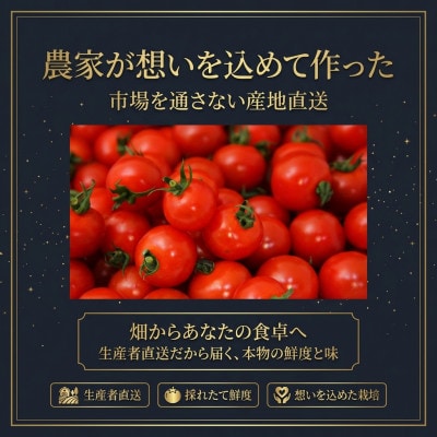 【さとふる限定】【特別栽培農産物】「ソムリエミニトマト ダイヤ」400g