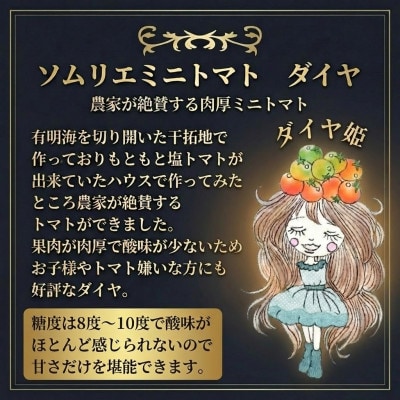 【さとふる限定】【特別栽培農産物】「ソムリエミニトマト ダイヤ」400g