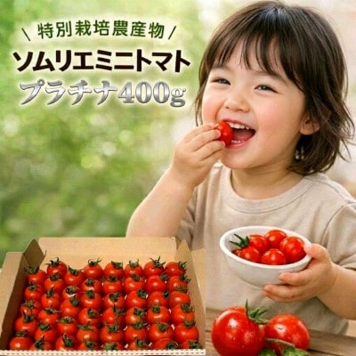 【特別栽培農産物】「ソムリエミニトマト プラチナ」400g