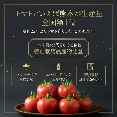 【特別栽培農産物】「ソムリエミニトマト プラチナ」400g