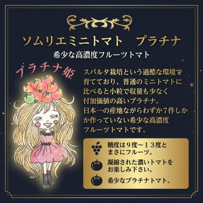 【特別栽培農産物】「ソムリエミニトマト プラチナ」400g