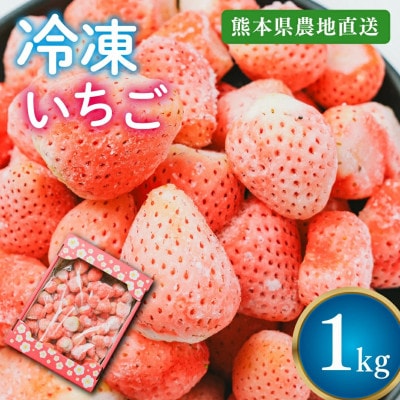 【熊本県産】淡雪 冷凍イチゴ 1kg