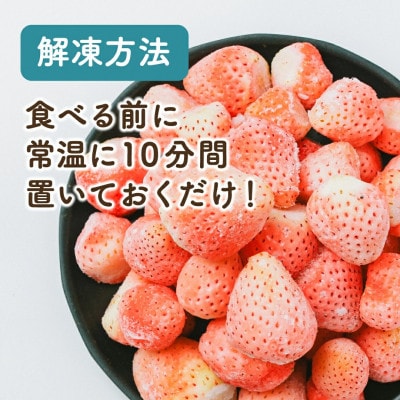 【熊本県産】淡雪 冷凍イチゴ 1kg