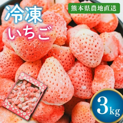 【熊本県産】淡雪 冷凍イチゴ 3kg