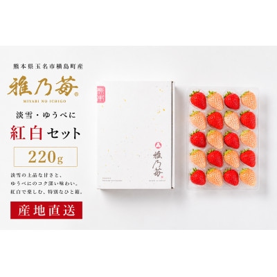 【先行予約】熊本県玉名市産 雅乃苺 20粒紅白セット