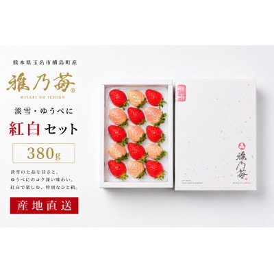 【先行予約】熊本県玉名市産 雅乃苺 紅白セット 約380g