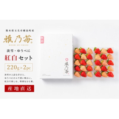 【先行予約】熊本県玉名市産 雅乃苺 紅白セット 約220g×2pc