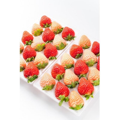 【先行予約】熊本県玉名市産 雅乃苺 紅白セット 約220g×2pc