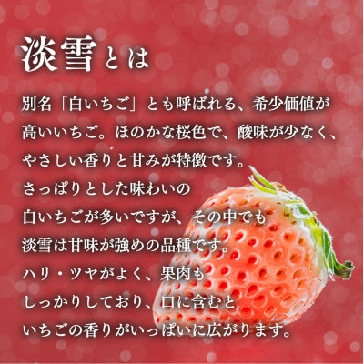 【先行予約】熊本県玉名市産 雅乃苺 紅白セット 約220g×2pc